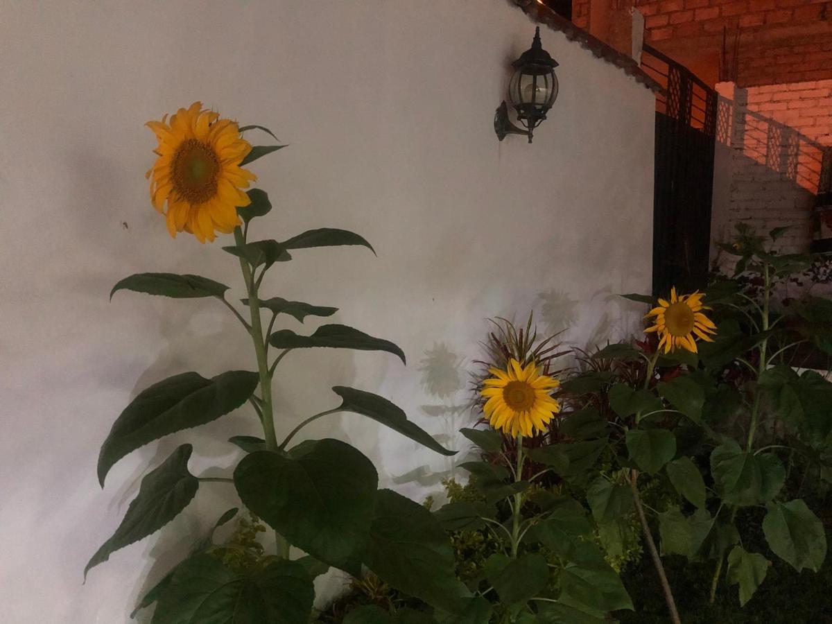 Hostel Las Palmas Vilcabamba Exteriér fotografie