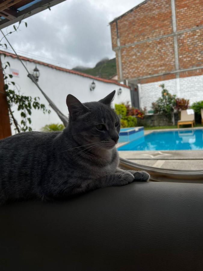 Hostel Las Palmas Vilcabamba Exteriér fotografie