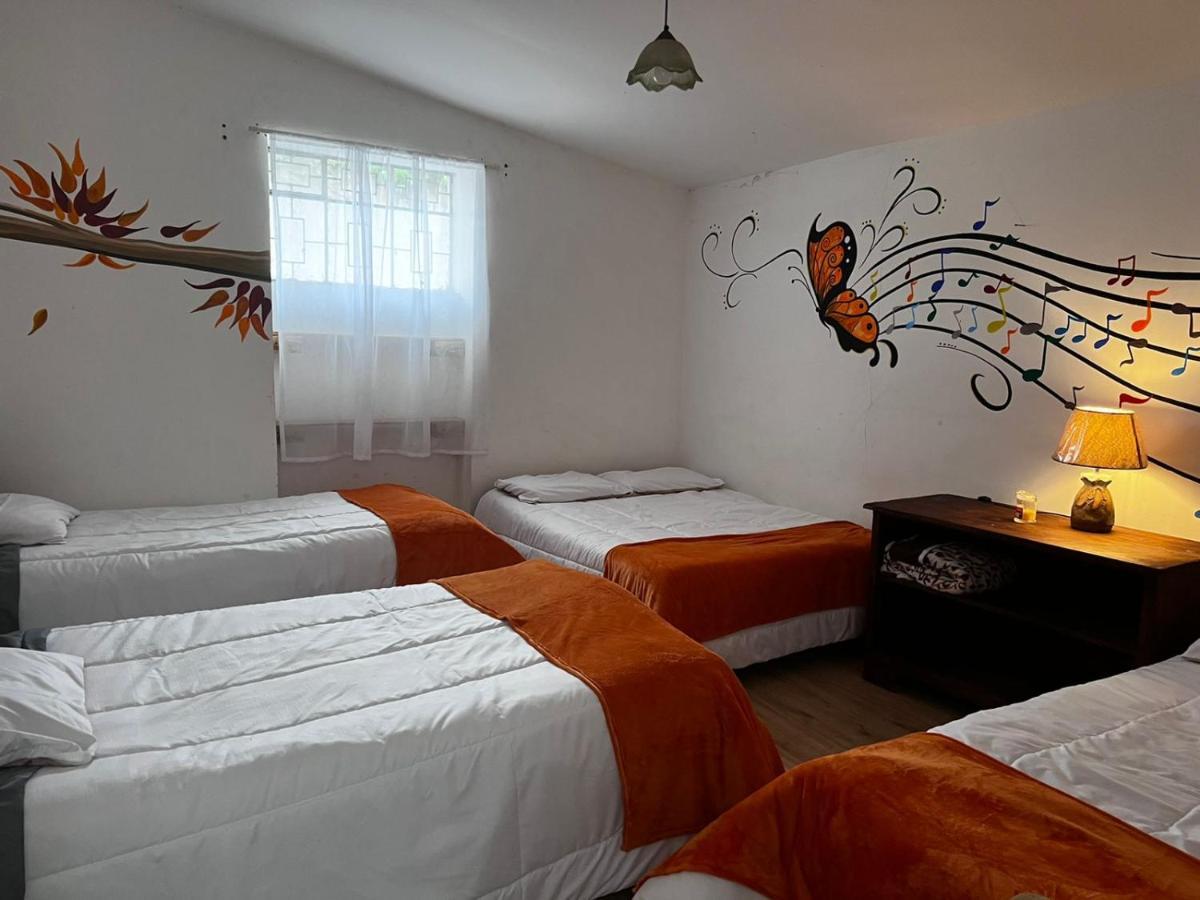 Hostel Las Palmas Vilcabamba Exteriér fotografie