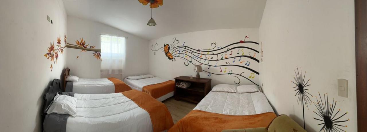 Hostel Las Palmas Vilcabamba Exteriér fotografie