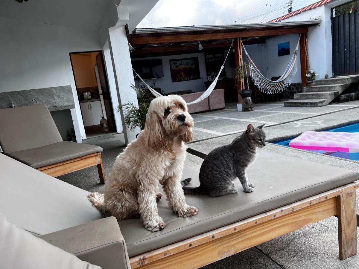 Hostel Las Palmas Vilcabamba Exteriér fotografie