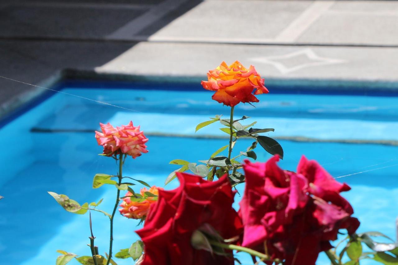 Hostel Las Palmas Vilcabamba Exteriér fotografie
